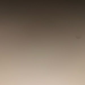 Meet your Posher, Ben